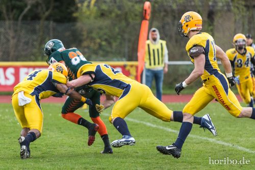 HR-15-04-11-15-20-22-3557