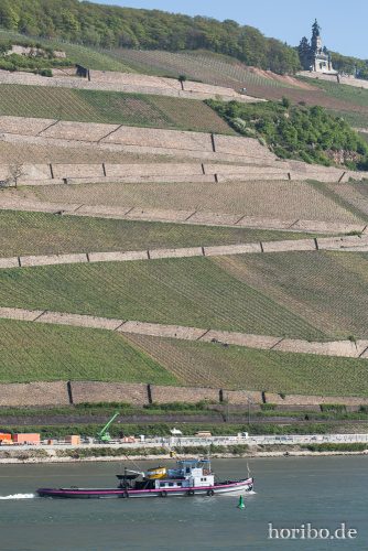 HR-15-04-22-09-59-37-3999