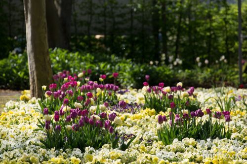 HR-15-04-22-10-43-00-4037