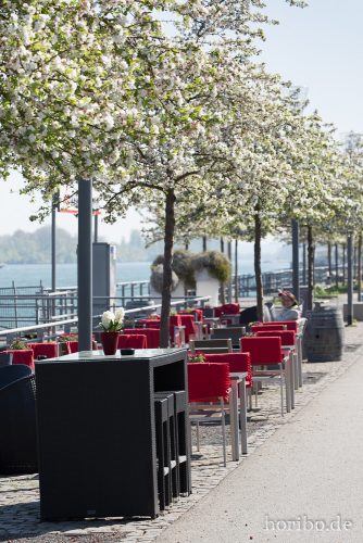 HR-15-04-22-10-53-57-4042