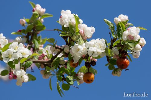 HR-15-04-22-11-01-10-4044