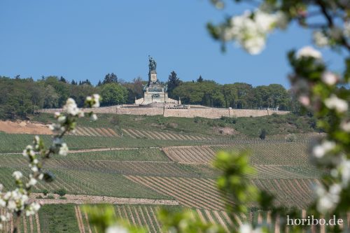 HR-15-04-22-11-40-06-4056