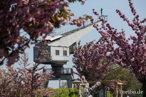 HR-15-04-22-11-44-13-4058