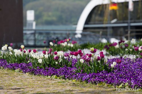 HR-15-04-22-13-55-38-4112