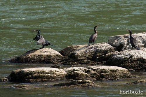 HR-15-04-22-16-17-07-4274