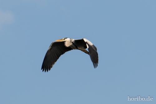 HR-15-04-22-18-02-35-4390