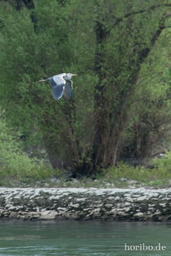 HR-15-04-22-18-10-26-4427