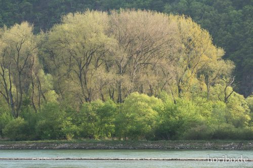 HR-15-04-22-18-13-42-4431