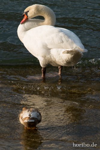 HR-15-04-22-18-27-04-4444