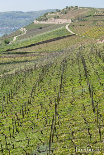 HR-15-04-23-12-04-24-4501