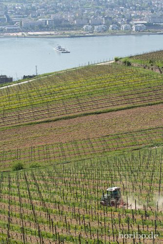 HR-15-04-23-12-06-47-4505