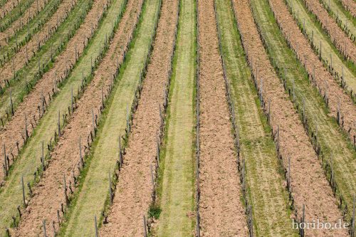 HR-15-04-23-12-10-05-4509