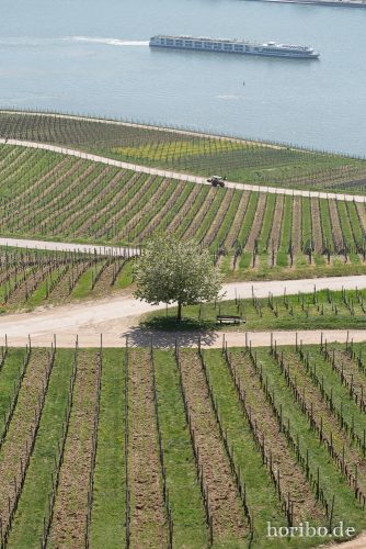 HR-15-04-23-12-31-31-4523