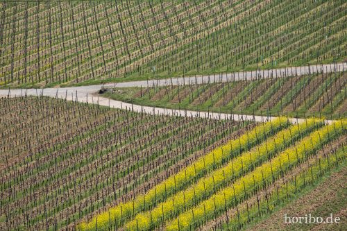 HR-15-04-23-13-23-21-4544