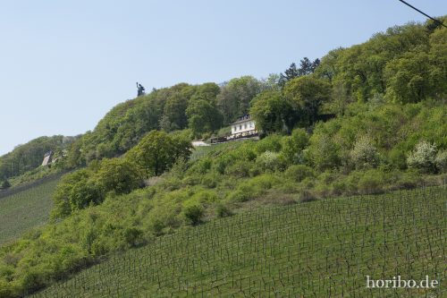 HR-15-04-23-14-02-17-4553