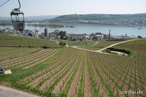 HR-15-04-23-14-06-01-4556