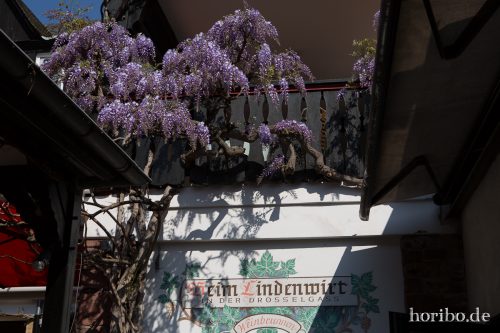 HR-15-04-23-15-33-39-4567