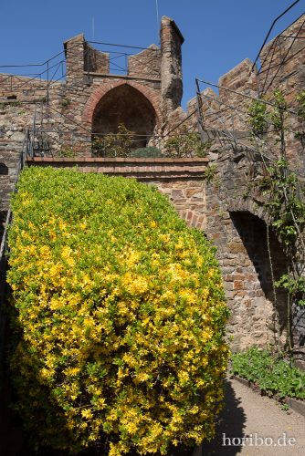 HR-15-04-24-12-25-09-4612