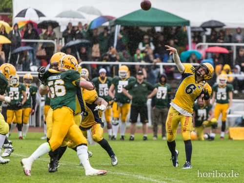 HR-15-05-03-15-24-29-5488