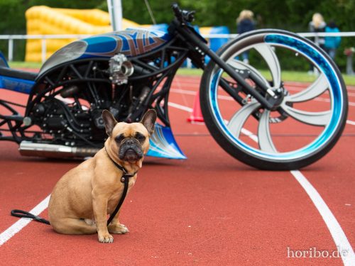 HR-15-05-10-13-27-02-5896