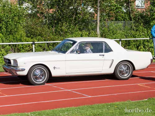 HR-15-05-10-16-51-45-7029