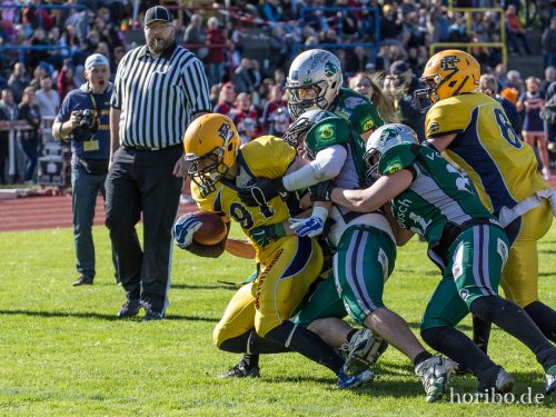 HR-15-05-10-17-17-22-7233