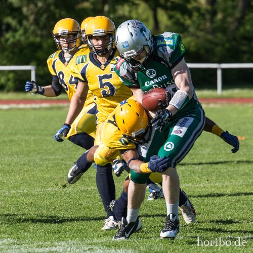 HR-15-05-10-17-31-29-7309