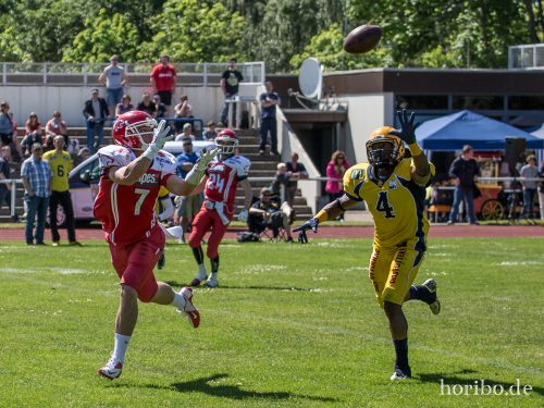 HR-15-06-06-15-17-22-9323