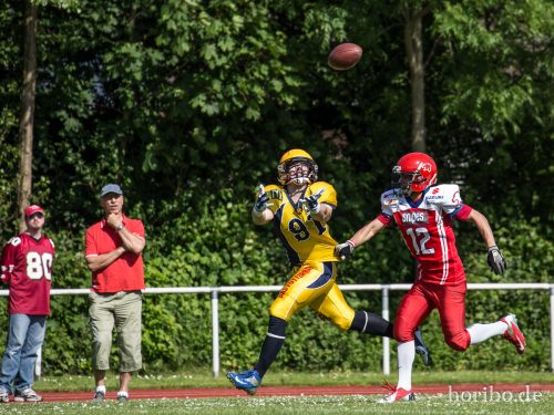 HR-15-06-06-16-40-19-9588