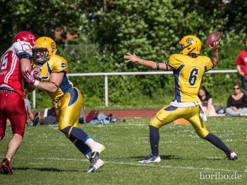 HR-15-06-06-17-00-18-9768