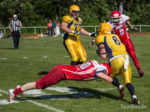 HR-15-06-06-17-03-05-9808