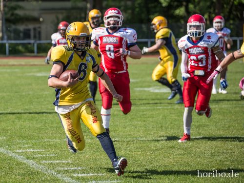 HR-15-06-06-17-12-38-9869