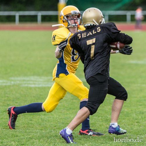 HR-15-06-14-16-38-13-0173