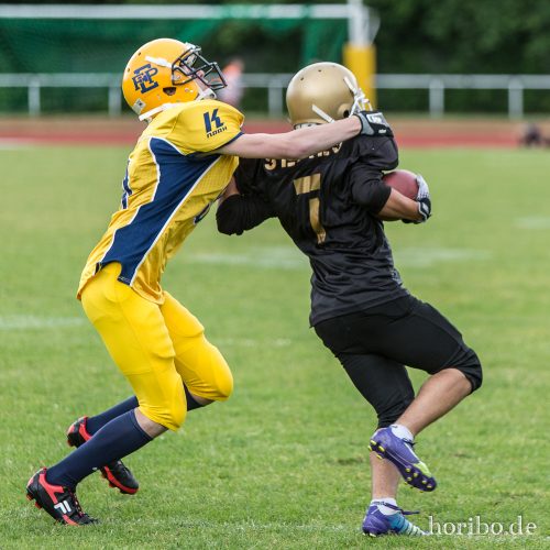 HR-15-06-14-16-38-13-0174