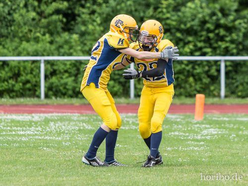 HR-15-06-14-16-45-02-0210