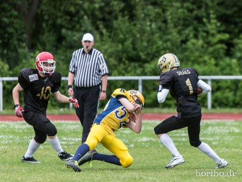 HR-15-06-14-16-47-33-0217