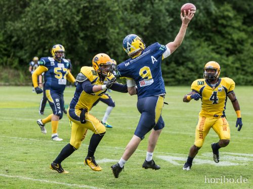 HR-15-06-20-16-20-10-0423