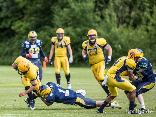 HR-15-06-20-17-12-15-0829