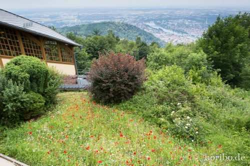 HR-15-06-27-13-37-07-1566