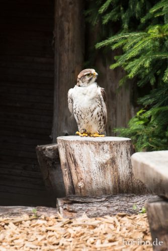 HR-15-06-27-14-04-42-1591