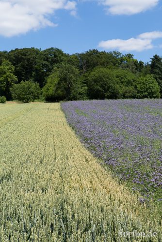 HR-15-06-28-13-22-41-1734