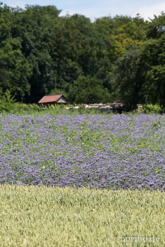 HR-15-06-28-13-34-54-1756