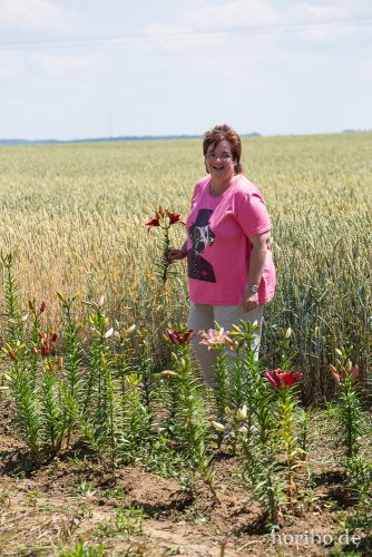 HR-15-06-28-13-58-34-1758