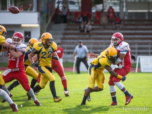 HR-15-08-01-18-13-43-3366