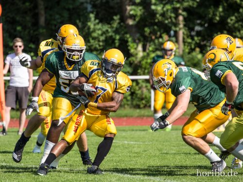 HR-15-08-22-15-29-29-4605