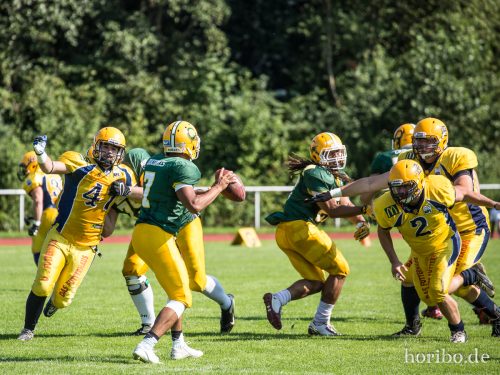 HR-15-08-22-15-38-31-4644