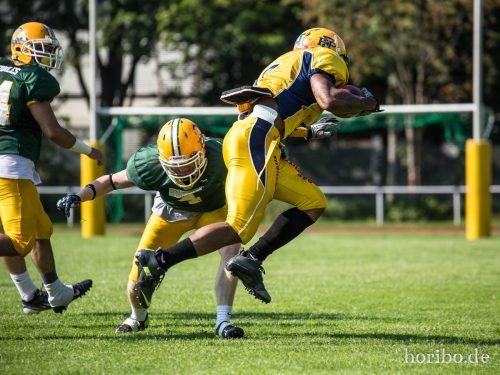 HR-15-08-22-15-56-18-4699