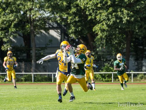 HR-15-08-22-16-01-38-4752