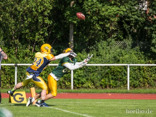 HR-15-08-22-16-54-34-4933