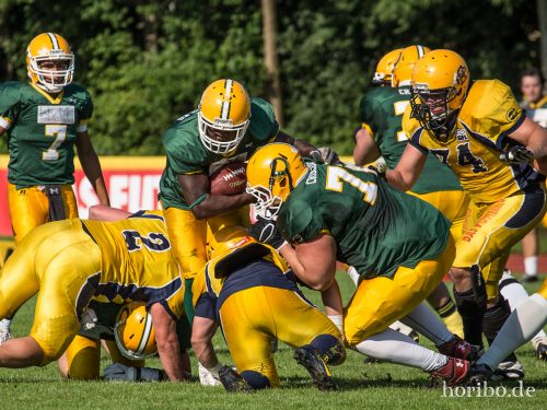 HR-15-08-22-16-55-49-4940